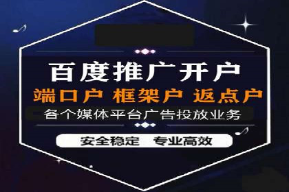 竞价排名广告投放案例